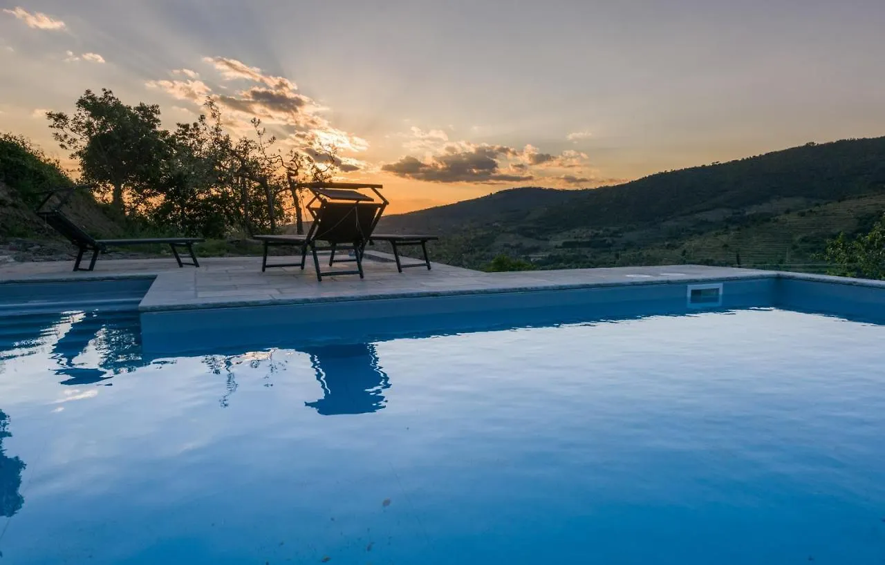 Fringuello - Mandorlo Villa Cortona Italy