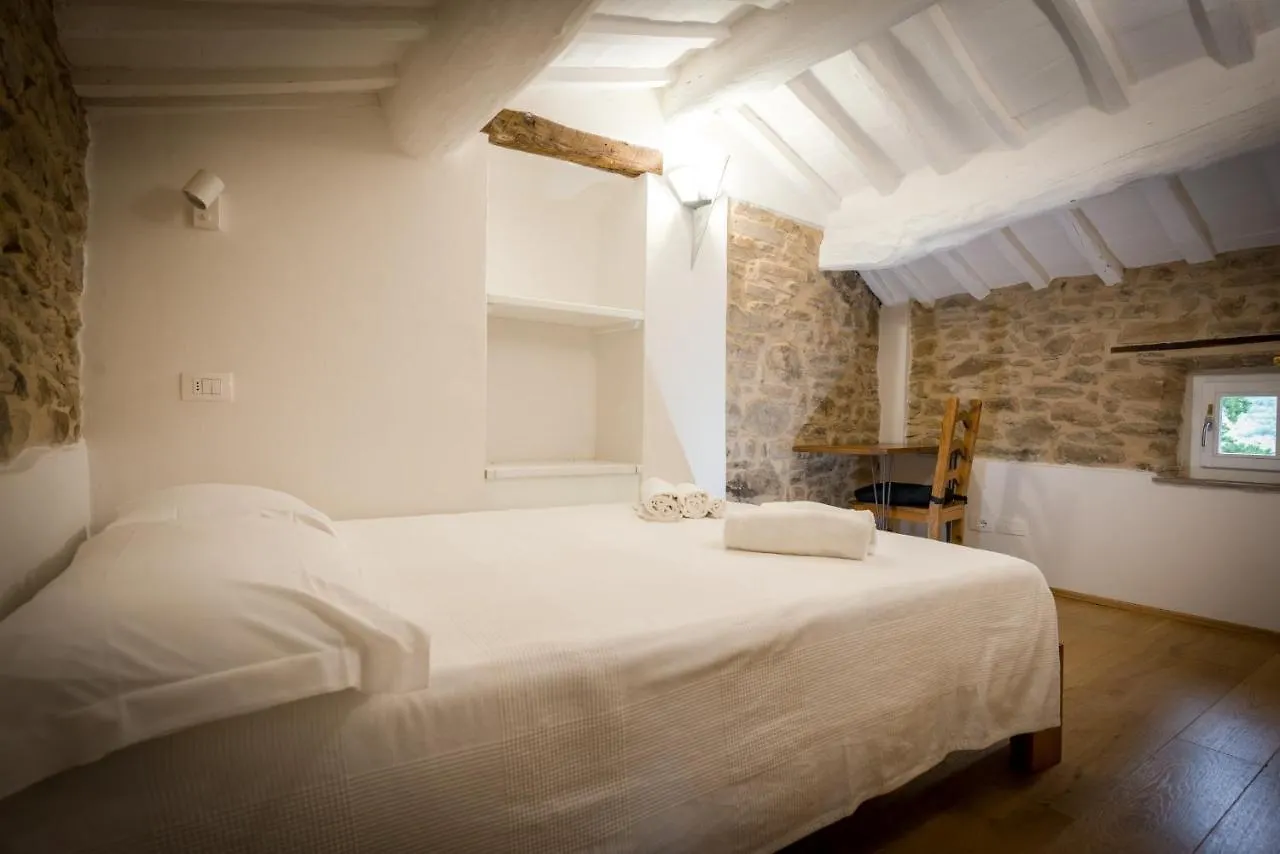 Fringuello - Mandorlo Villa Cortona