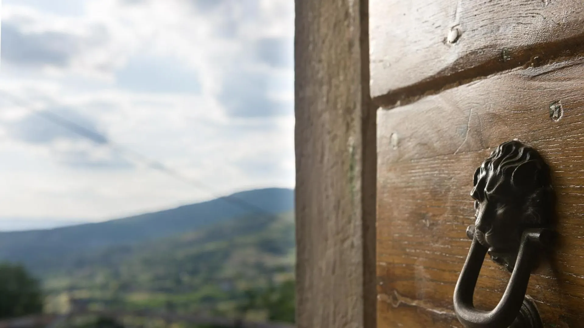 Fringuello - Mandorlo Villa Cortona Italy